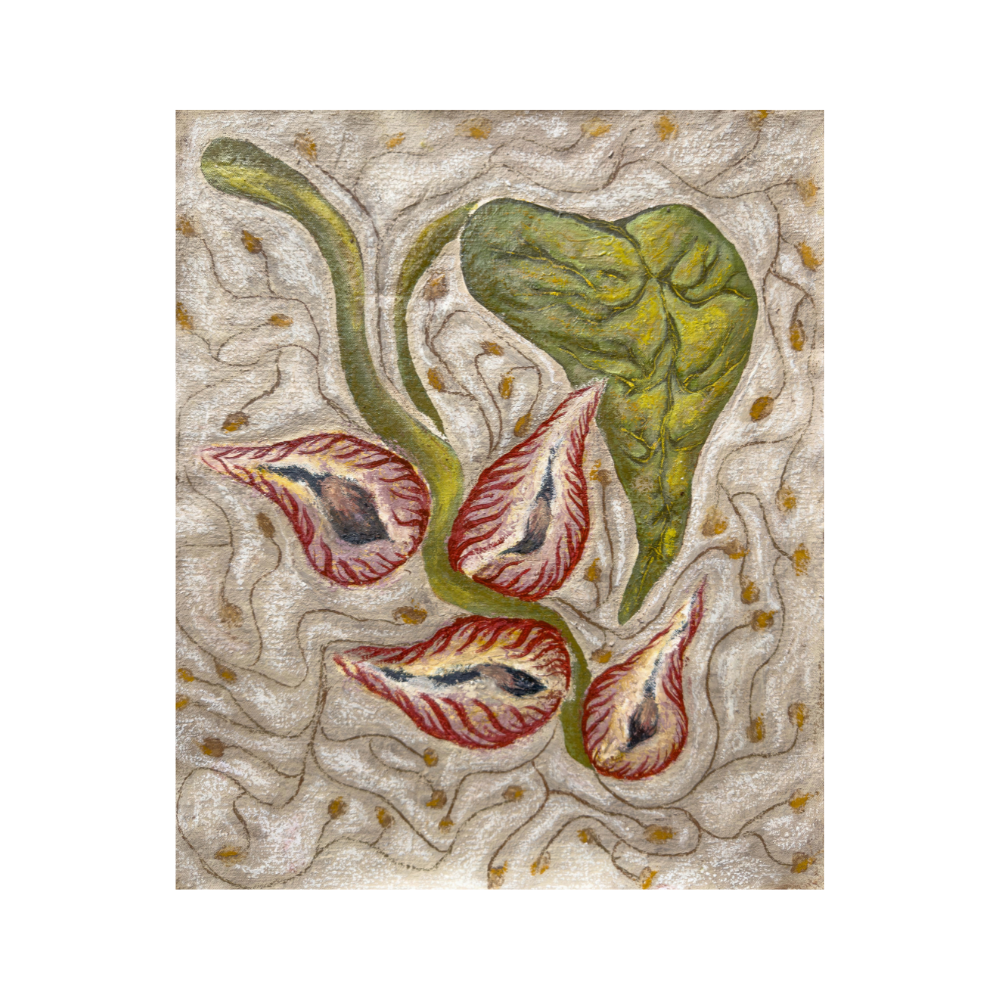 "planting seeds"