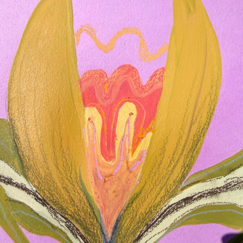 "plant form study #14"