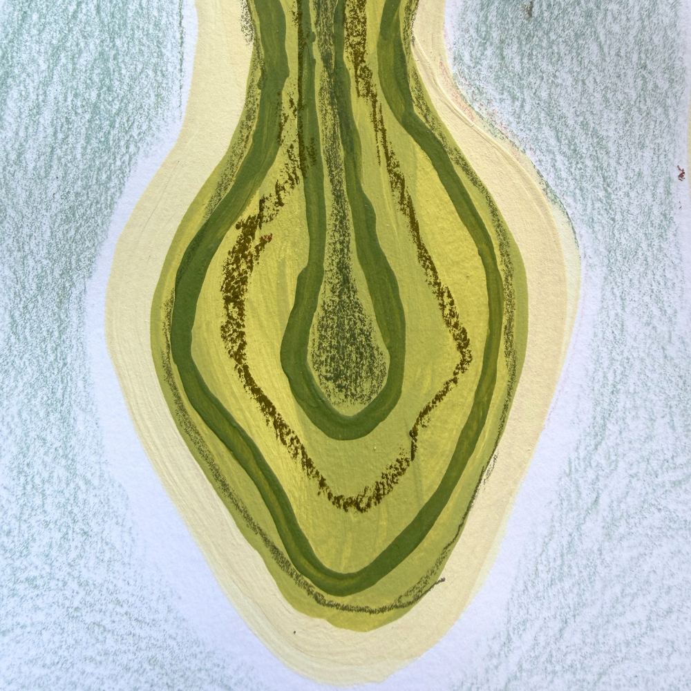"plant form study #12"