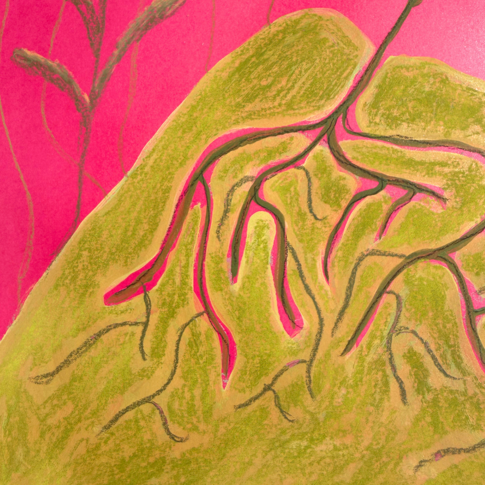 "plant form study #18"
