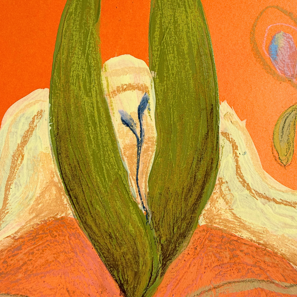 "plant form study #16"