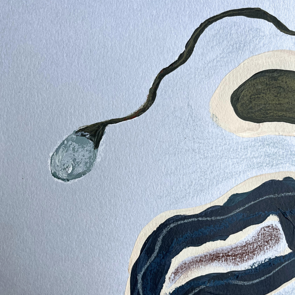 "plant form study #1"