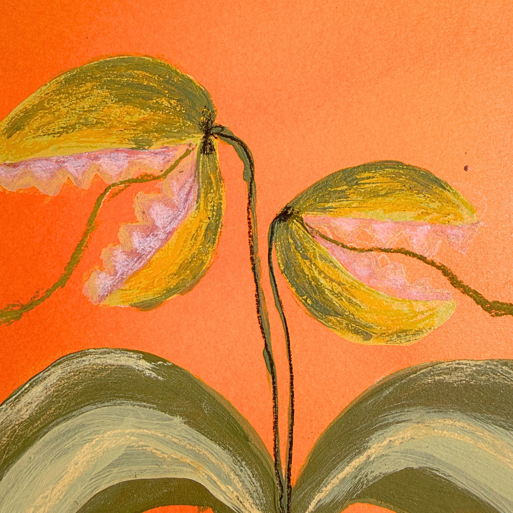 "plant form study #19"