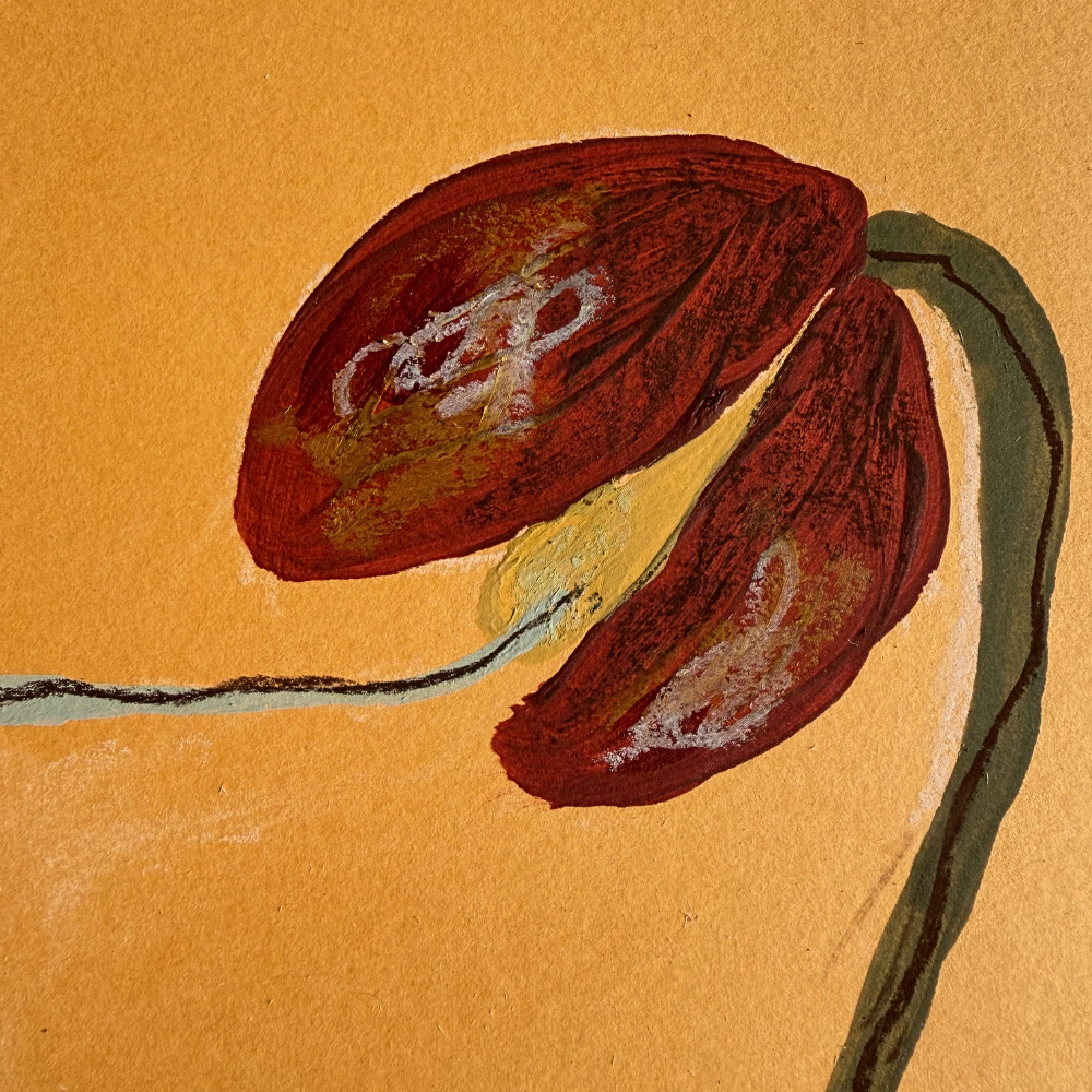 "plant form study #3"